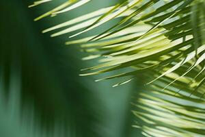 AI generated Stylish background for presentation. Palm leaf on a green surface with shadow. generative ai. photo