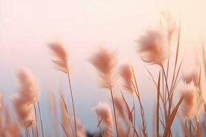 Soft gently wind grass flowers in aesthetic nature of early morning misty sky background. Quiet and calm image in minimal zen mood. Spring nature in pastel tone. generative ai. photo