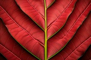 abstract red striped of foliage from nature, detail of leaf textured background. generative ai. photo