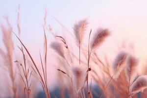 Soft gently wind grass flowers in aesthetic nature of early morning misty sky background. Quiet and calm image in minimal zen mood. Spring nature in pastel tone. generative ai. photo