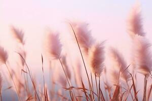 Soft gently wind grass flowers in aesthetic nature of early morning misty sky background. Quiet and calm image in minimal zen mood. Spring nature in pastel tone. generative ai. photo