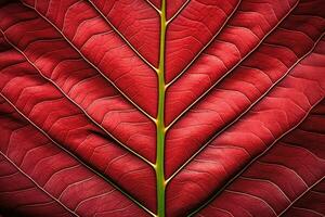 abstract red striped of foliage from nature, detail of leaf textured background. generative ai. photo