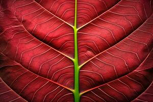 abstract red striped of foliage from nature, detail of leaf textured background. generative ai. photo