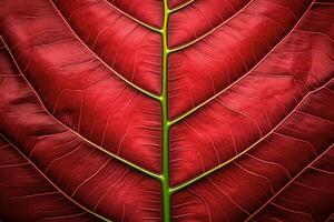 abstract red striped of foliage from nature, detail of leaf textured background. generative ai. photo