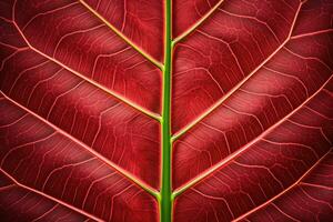 abstract red striped of foliage from nature, detail of leaf textured background. generative ai. photo