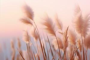 Soft gently wind grass flowers in aesthetic nature of early morning misty sky background. Quiet and calm image in minimal zen mood. Spring nature in pastel tone. generative ai. photo