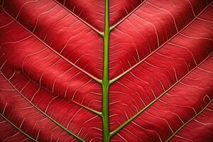 abstract red striped of foliage from nature, detail of leaf textured background. generative ai. photo