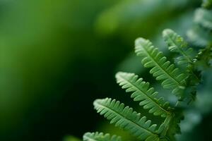 verde helecho hojas, selectivo atención en contra verde bokeh jardín fondo, con Copiar espacio. generativo ai. foto