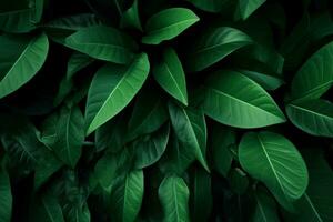 Green leaves pattern background, Natural background and wallpaper. generative ai. photo