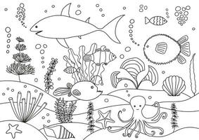 Sea life animals coloring page. Different vector fish coloring book for children and adults. Anglerfish, clownfish, starfish, shell, octopus, shark, ball fish, reef fish, seaweed, sea grass.