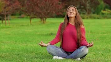zwanger mediteren Aan de gras video