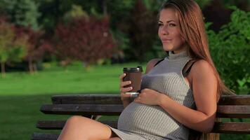 zwanger drinken thee terwijl zittend Aan een park bank video
