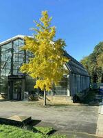 Londres en el Reino Unido en 5 5 noviembre 2023. un ver de kew jardines foto