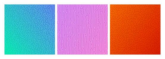 Set of three colorful turing reaction gradient backgrounds. Abstract diffusion pattern with chaotic shapes. Vector illustration.