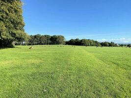 un ver de el Cheshire campo cerca knutsford en un soleado día en otoño foto