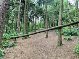 una vista de la campiña de cheshire en las colinas de peckforton foto