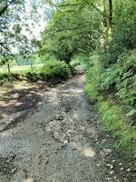 A view of the Cheshire Countryside at Peckforton Hills photo