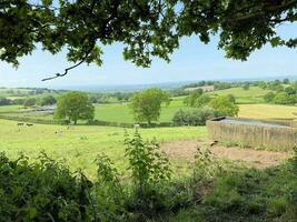 A view of the Cheshire Countryside at Peckforton Hills photo