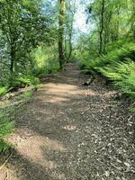 A view of the Cheshire Countryside at Peckforton Hills photo