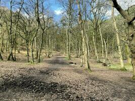 una vista de la campiña de cheshire en las colinas de peckforton foto