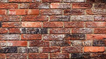 Background made from bricks photo