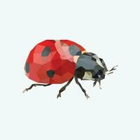low poly lady bug illustration vector