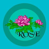 Pink rose flowers in a circle on a blue background. Vector illustration