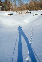 The shadow of a man in the snow. The forest traveler stands on a white background, nature around people. Silhouette in the rays of the sun. photo