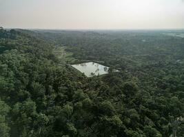 ver desde el parte superior de el montaña, lago en té jardín, ver desde el parte superior de el colina foto