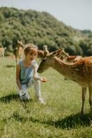 Little girl among reindeer herd on the sunny day photo