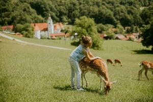 Little girl among reindeer herd on the sunny day photo