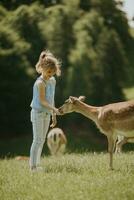 Little girl among reindeer herd on the sunny day photo