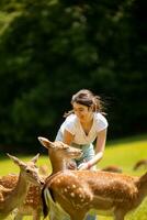 Little girl among reindeer herd on the sunny day photo