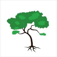 Tree drawign stock vector illustration