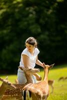 Little girl among reindeer herd on the sunny day photo