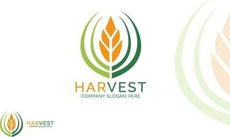 Leaf agriculture logo design template for your brand vector