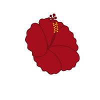 Red Hibiscus Botanical Flower Vector Illustration Image