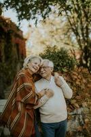 Senior couple embracing in autumn park photo