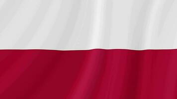 Polen winken Flagge. Polieren realistisch Flagge Animation. schließen oben Bewegung Schleife Hintergrund video