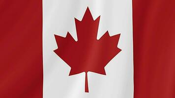 kanada vinka flagga. kanadensisk realistisk flagga animation. stänga upp rörelse slinga bakgrund video
