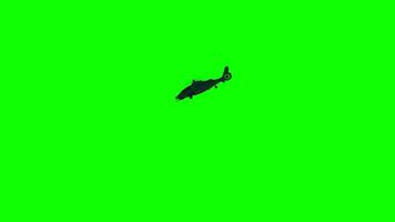 helicóptero vôo ciclo animação vídeo transparente fundo com alfa canal video