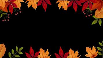 Autumn colorful leaves thanksgiving leaf with alpha channel, transparent background. video