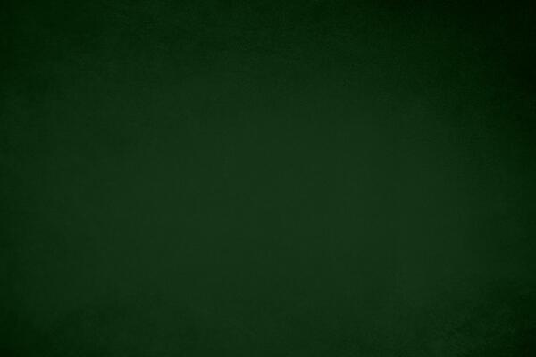 Hunter Green Background Stock Photos, Images and Backgrounds for Free