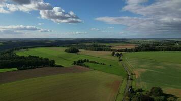 aéreo de bosque y paisaje en el Bélgica Valonia. alta calidad full HD imágenes video