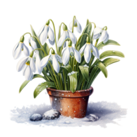 perce-neige fleur pour Noël événement. aquarelle style. ai généré png