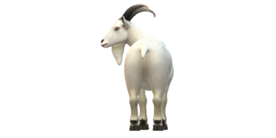 Goat isolated on a Transparent Background png