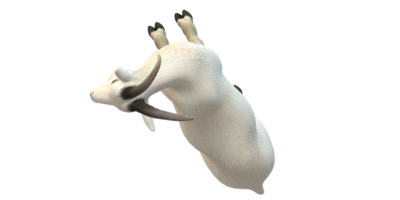Goat isolated on a Transparent Background png