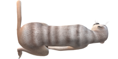 meerkat isolado em uma transparente fundo png