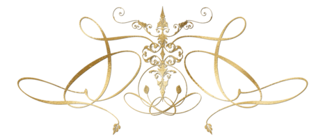 gouden luxe element png