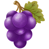 Illustration of a bunch of purple grapes png